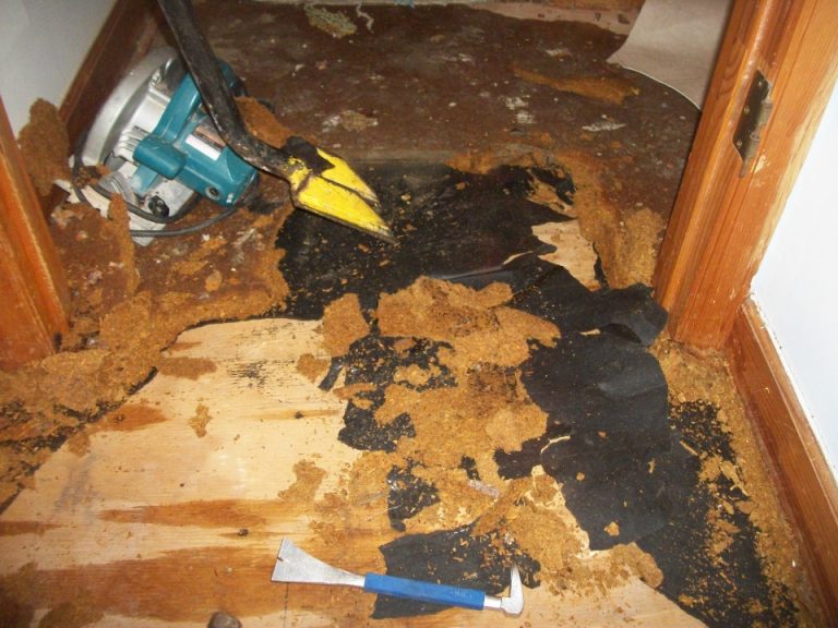 Water Damage Restoration