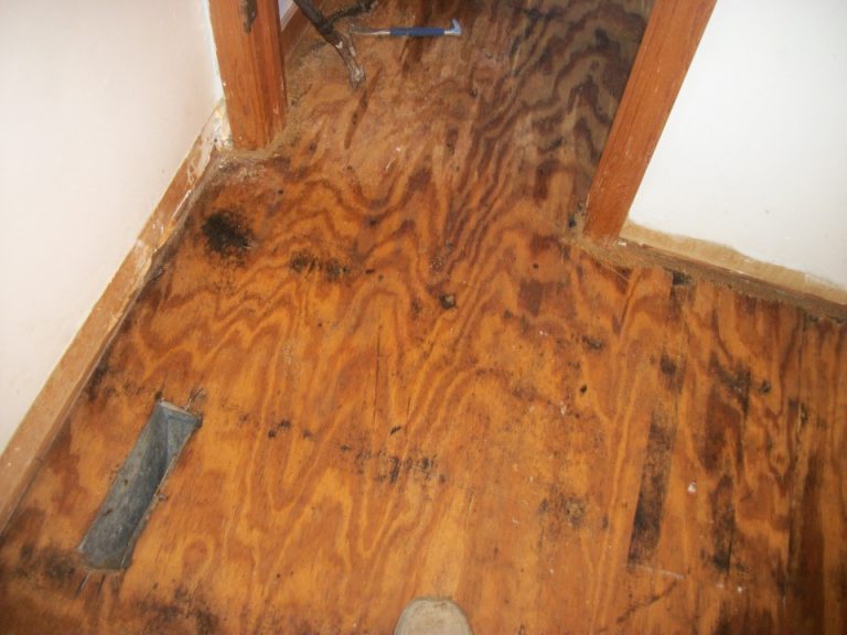 Water Damage Restoration