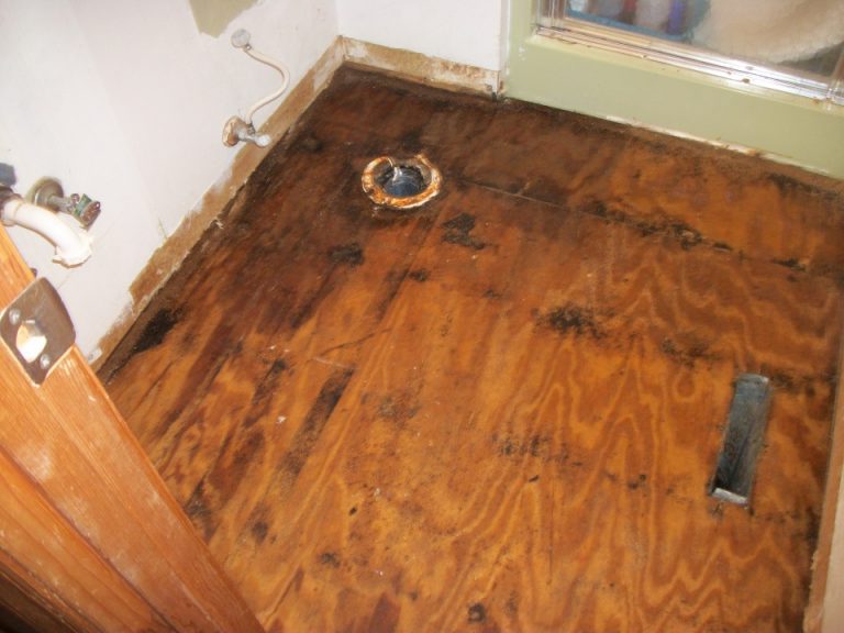 Water Damage Restoration