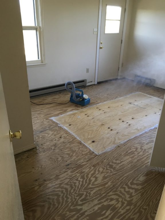 fogging disinfectant