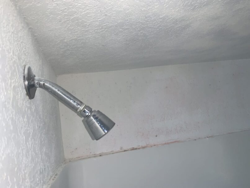 the ceiling and walls around and above the shower head takes a lot of moisture, hence the presence of “black spots”