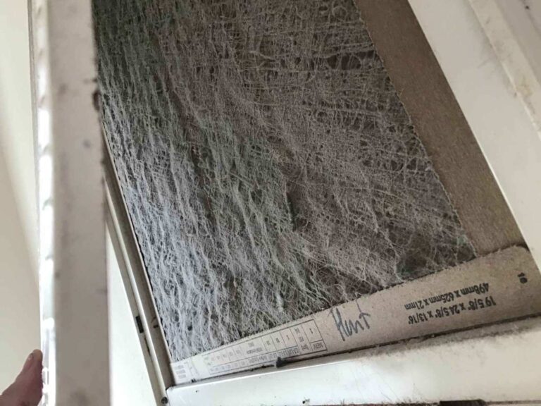 Filters clogged with months of debris which hold moisture and bacteria