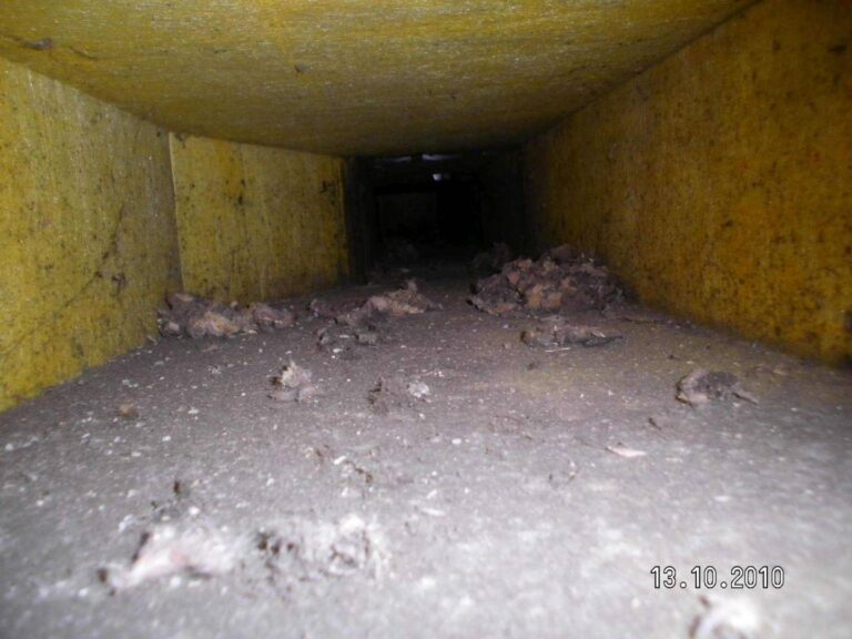 Dirty HVAC chases can hold all kinds of debris