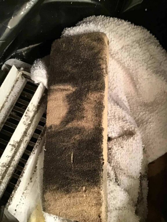Wiping off mold from grills