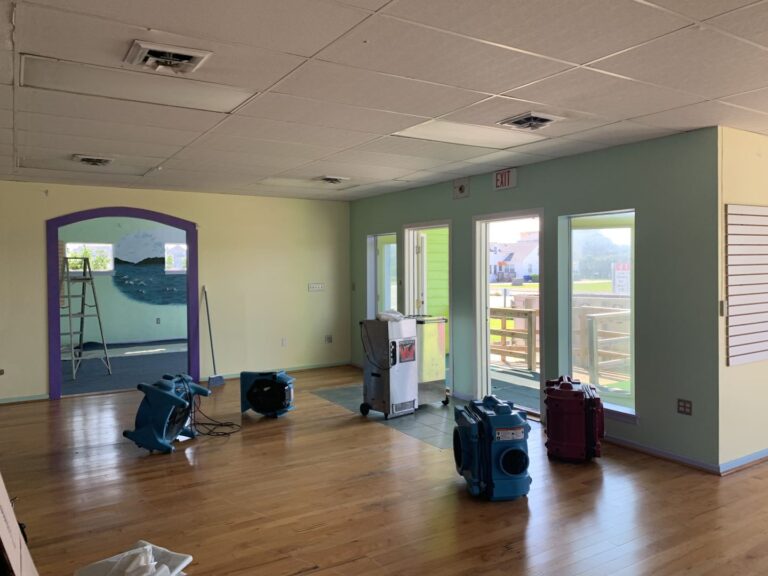 drying and dehumidification