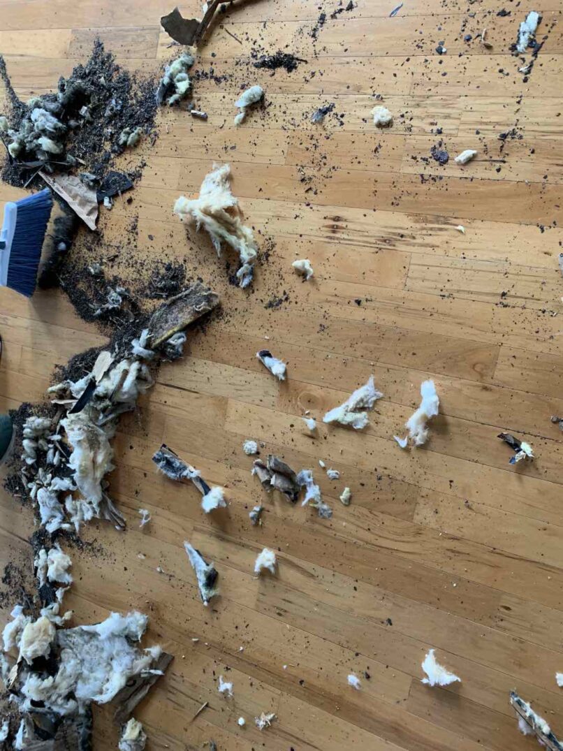 we clean up all debris as we work