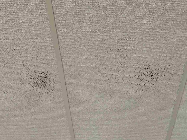 microbial growth
