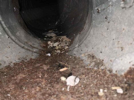 dirt and debris are spread throughout the home by way of airflow