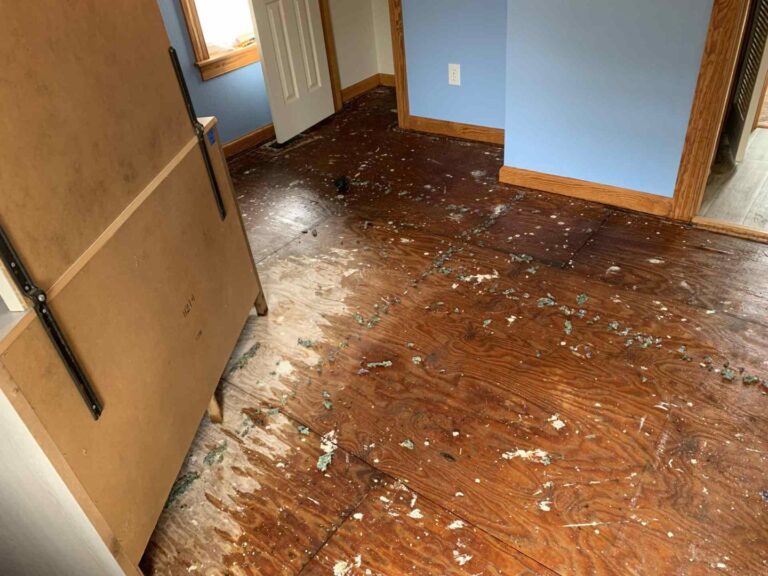 Subfloor is soaked