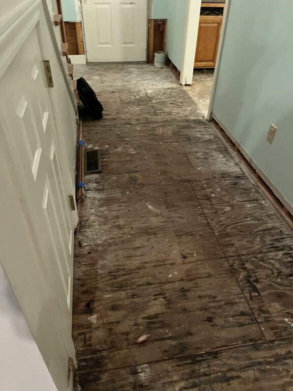 clean, dried, ready for new floor