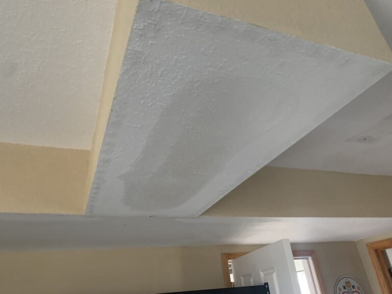 Water damaged ceilings all over downstairs