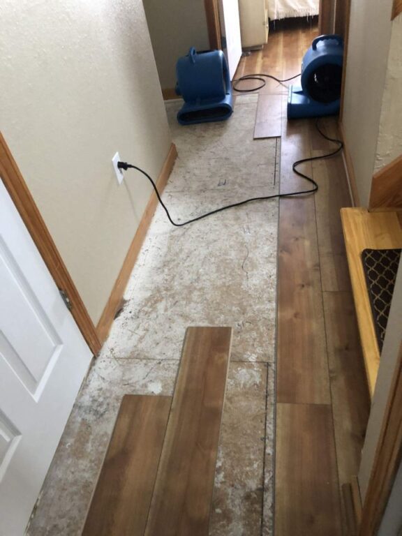 Vinyl plank flooring in drying mode from water damage