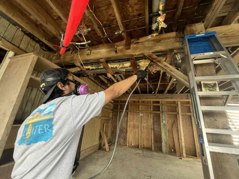 animal decontamination of underpinning