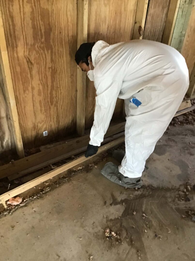 cleaning the lower level of home