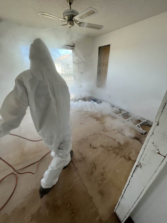 fogging ozone