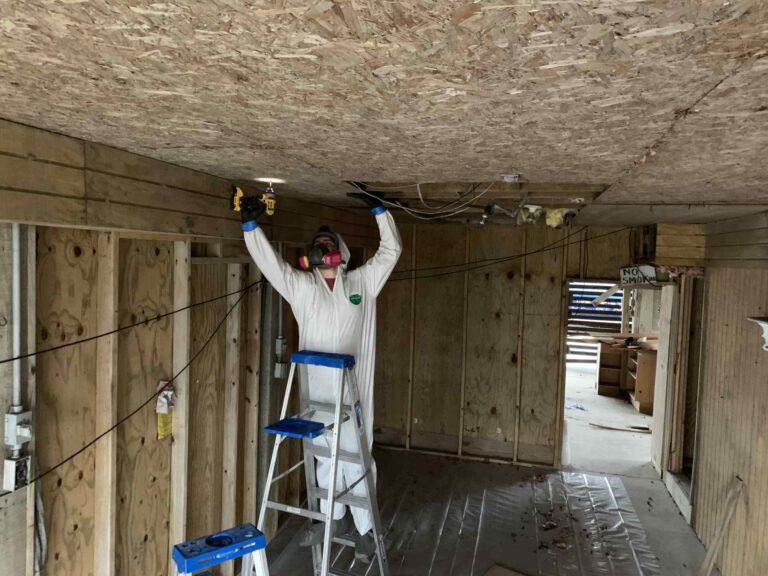 exterior underpinning removed to expose racoon latrine