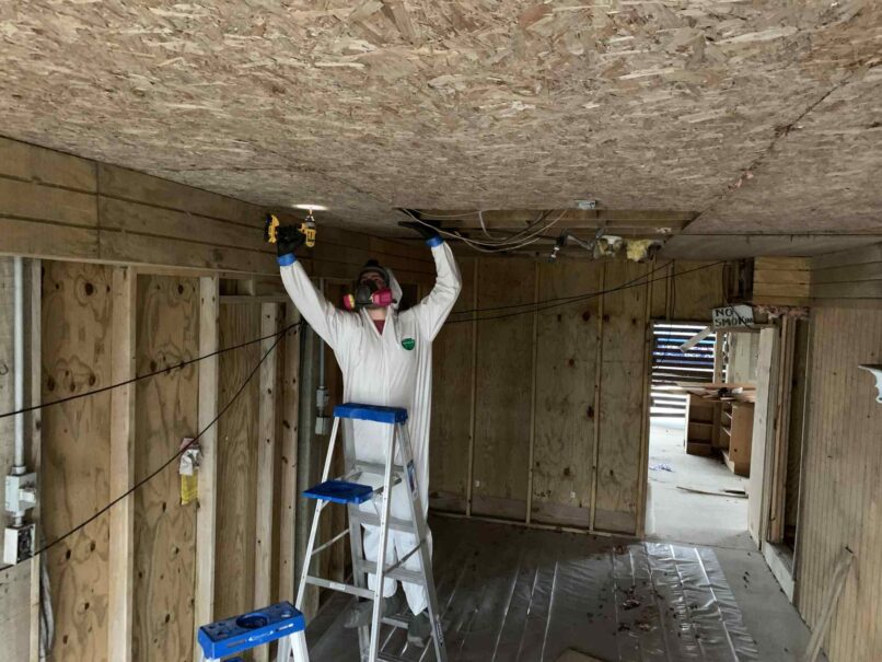 exterior underpinning removed to expose racoon latrine