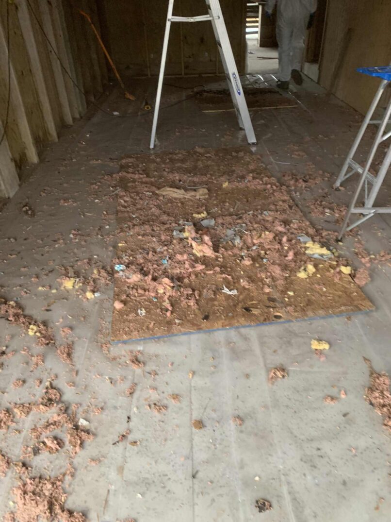 latrine litter droppings from underpinning cavities