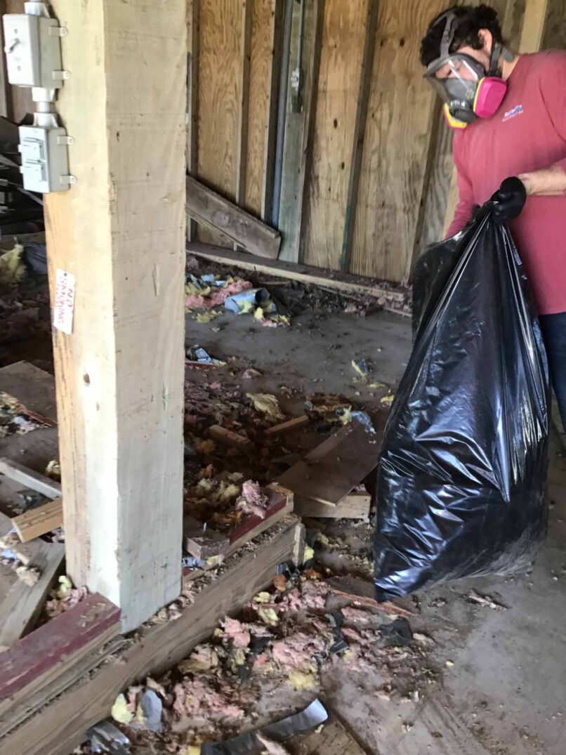 Biohazard cleanup of racoon latrine