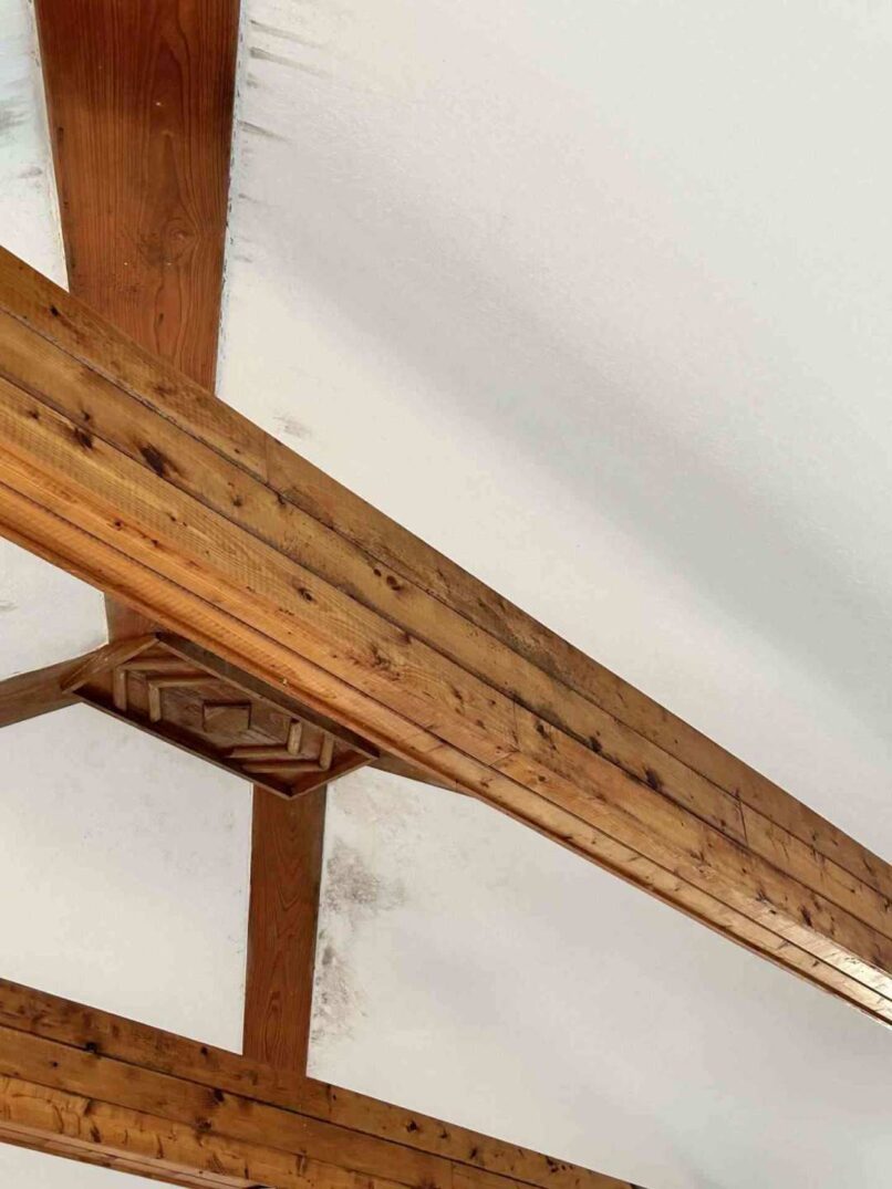 Ceiling peaks traps moisture which feed microbial growth