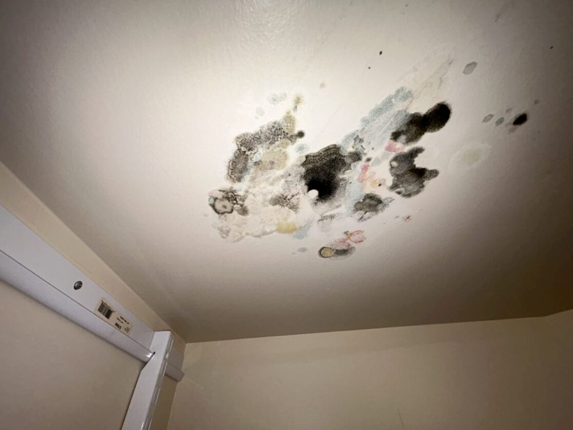 original issue found by customer