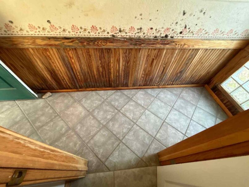 drywall and wainscoting were all affected by growth