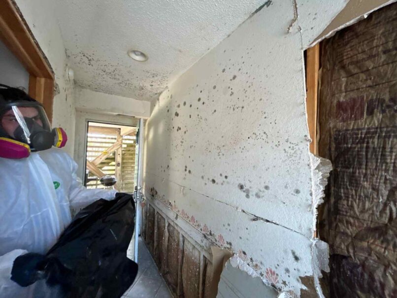 proper PPG is required to handle this work