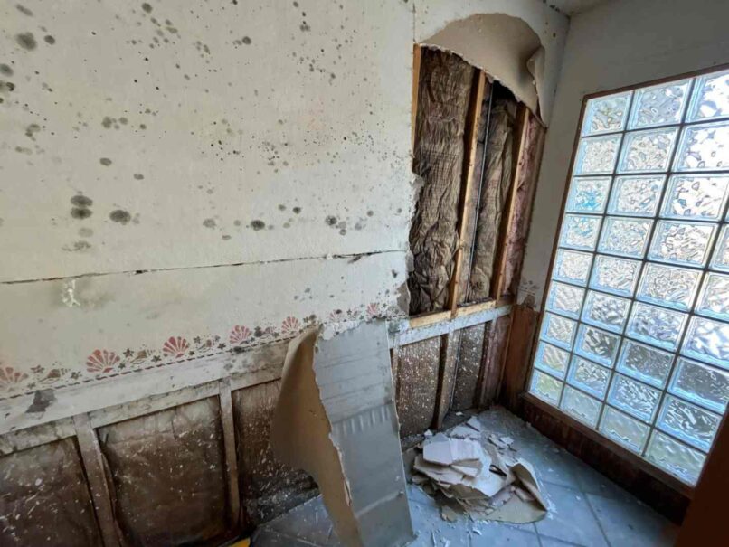 removal of contaminated building materials