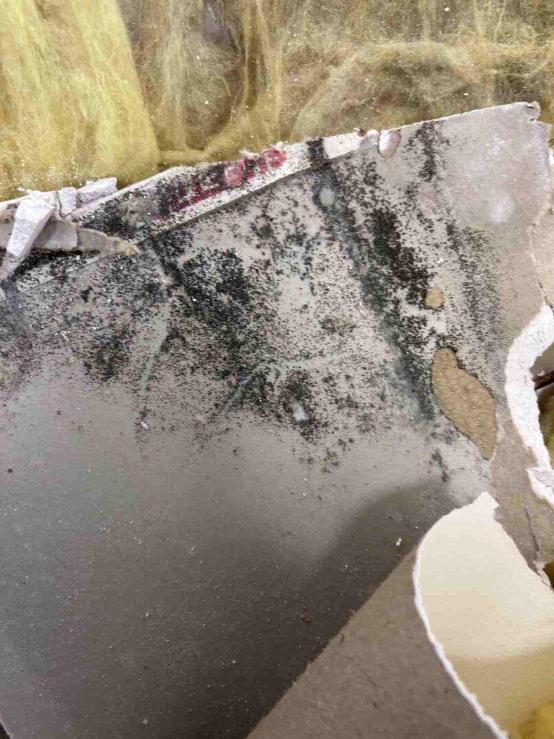 investigation discovers there is a long-term leak in the ceiling