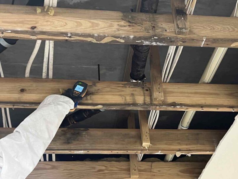 monitoring the drying process