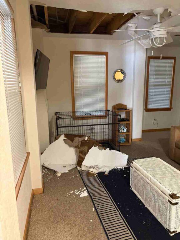 TV Room before