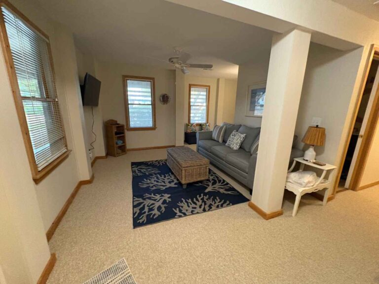 TV Room after