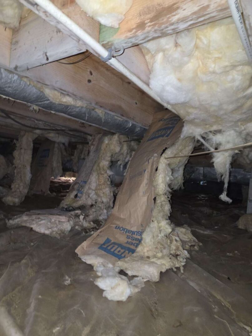 Existing condition of crawlspace