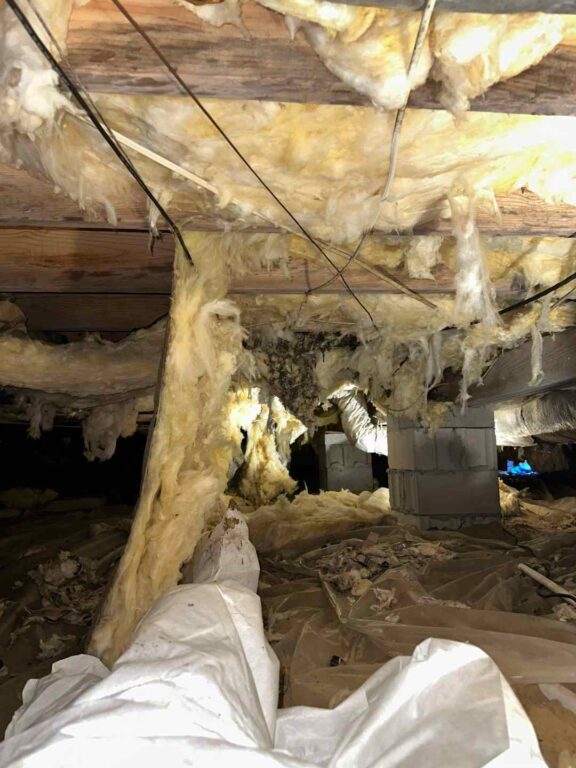 entire crawlspace had fallen insulation
