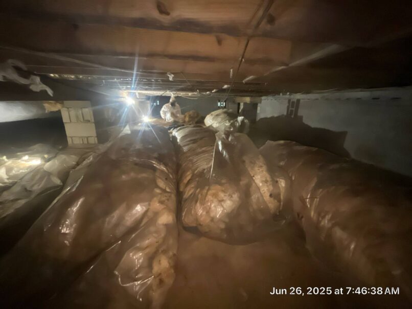 we bagged and removed the insulation and vapor barrier