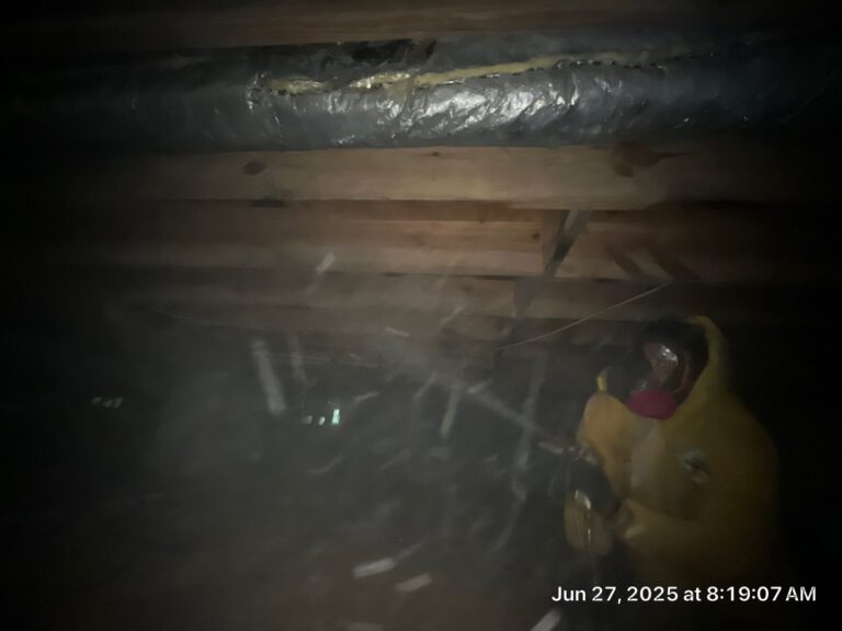 applying restoration cleaning products to joists to remove microbial growth