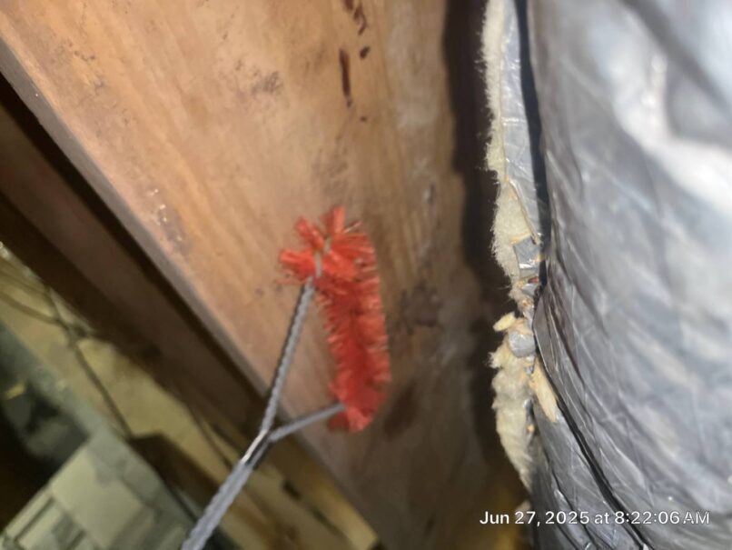 scrubbing the joists to remove any growth