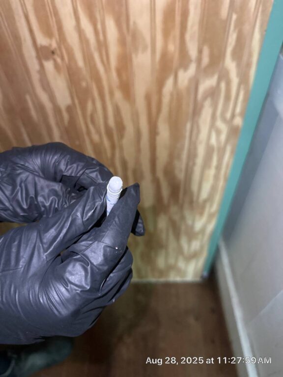clean swab