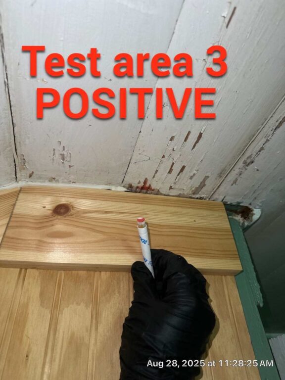 Swab turns red when it is positive for LEAD