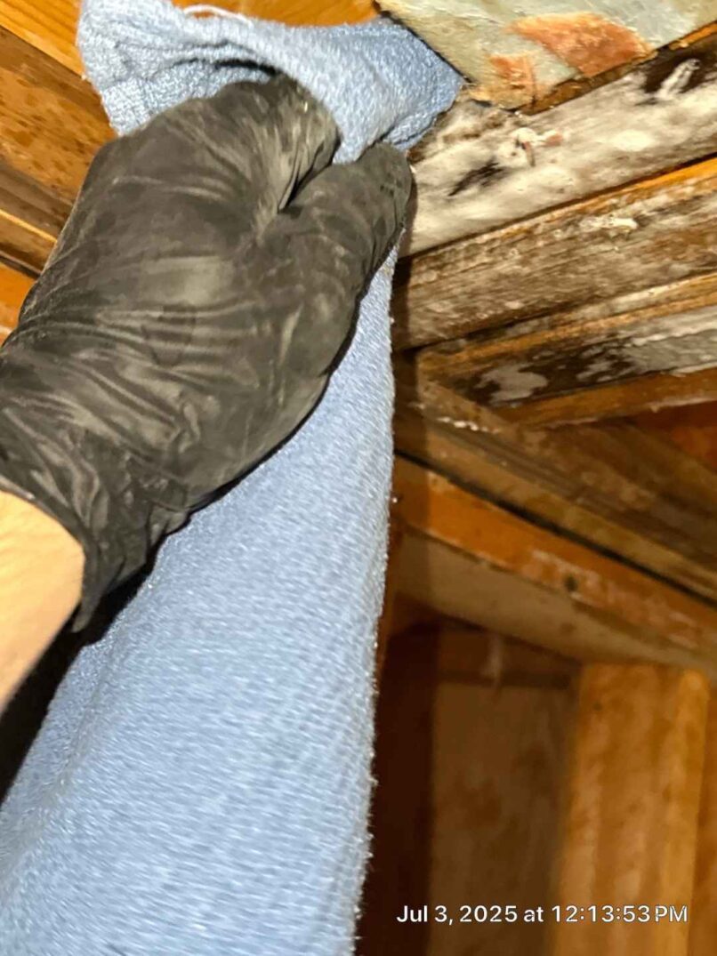 cleaning / hand scrubbing environmental cleaning