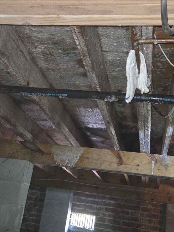 subfloor has been pretreated with a cleaning solution