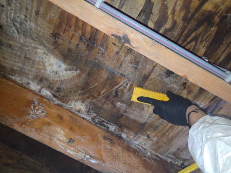 chemical and hand scrubbing is required to clean