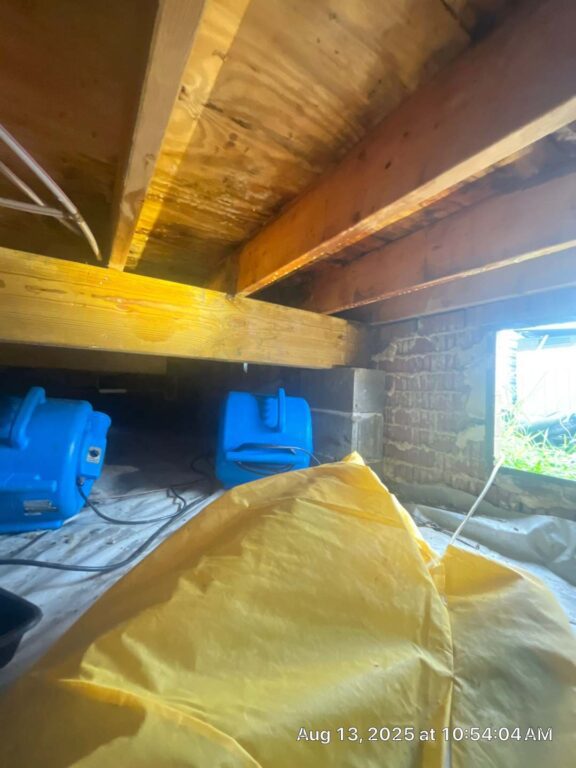 drying equipment employed to dry the subfloor from below